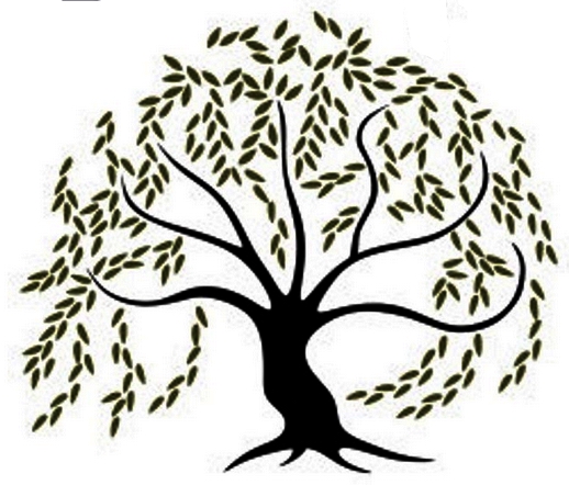 Willow Tree